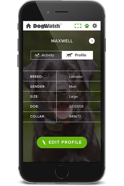 DogWatch of Litchfield & Upper Fairfield County, New Milford, Connecticut | SmartFence WebApp Image