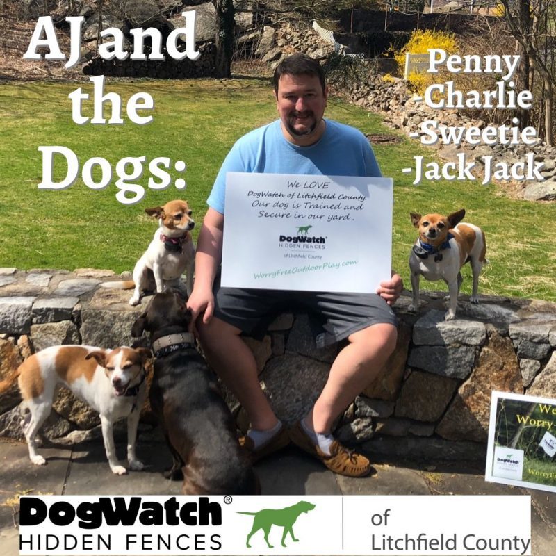 DogWatch of Litchfield & Upper Fairfield County, New Milford, Connecticut | Photo Gallery  Image