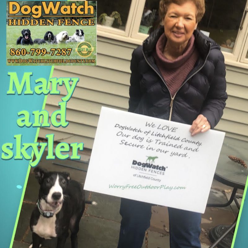 DogWatch of Litchfield & Upper Fairfield County, New Milford, Connecticut | Photo Gallery  Image