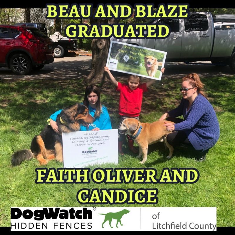 DogWatch of Litchfield & Upper Fairfield County, New Milford, Connecticut | Photo Gallery  Image