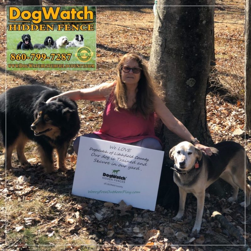 DogWatch of Litchfield & Upper Fairfield County, New Milford, Connecticut | Photo Gallery  Image