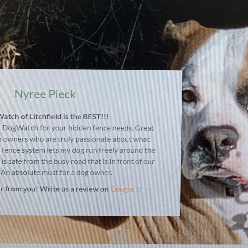 DogWatch of Litchfield & Upper Fairfield County, New Milford, Connecticut | Photo Gallery  Image