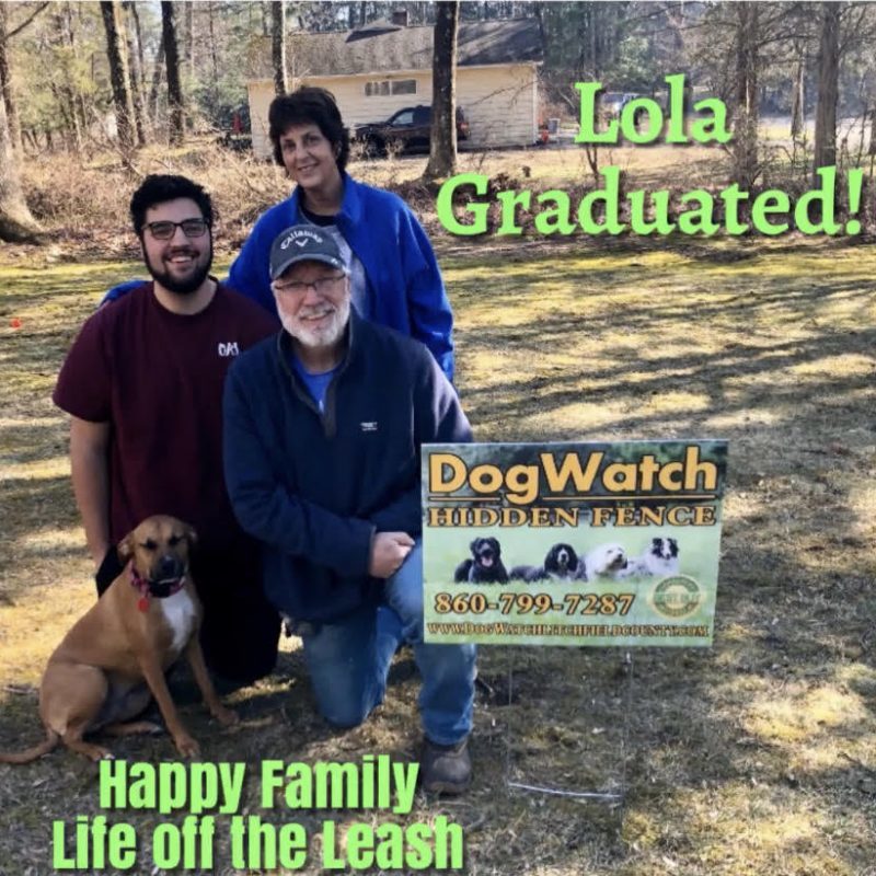 DogWatch of Litchfield & Upper Fairfield County, New Milford, Connecticut | Photo Gallery  Image