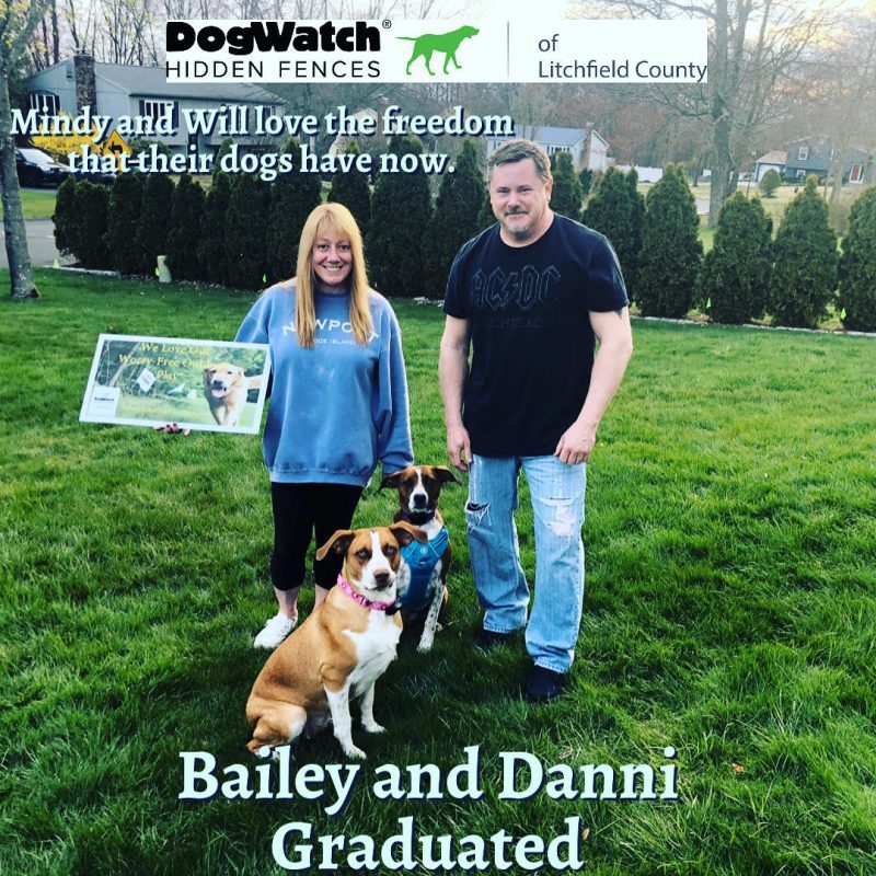 DogWatch of Litchfield & Upper Fairfield County, New Milford, Connecticut | Photo Gallery  Image