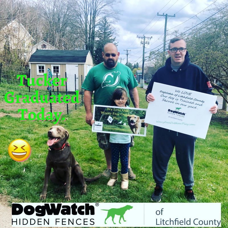 DogWatch of Litchfield & Upper Fairfield County, New Milford, Connecticut | Photo Gallery  Image