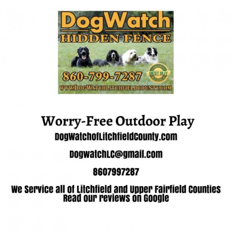 DogWatch of Litchfield & Upper Fairfield County, New Milford, Connecticut | Photo Gallery  Image