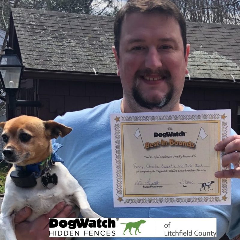 DogWatch of Litchfield & Upper Fairfield County, New Milford, Connecticut | Photo Gallery  Image